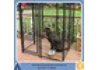 Lucky Dog 6x10-foot Galvanized wire kennel easy to clean