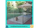 Lucky Dog 6x10-foot Galvanized wire kennel